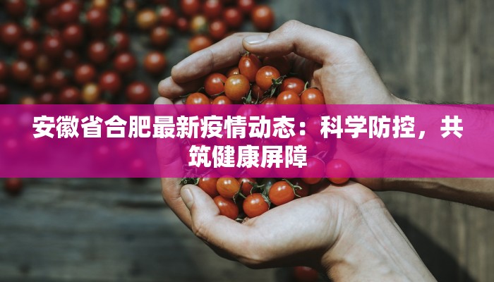 安徽省合肥最新疫情动态：科学防控，共筑健康屏障